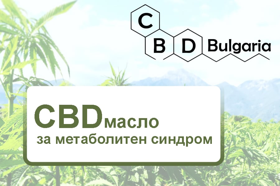 cbd-масло-за-метаболитен-синдром